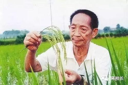 袁隆平与明星网红对比图,时代楷模与流量偶像的鲜明对比