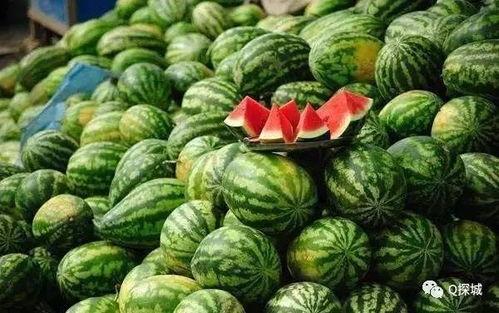 滑县小吊瓜西瓜今日价格,价格行情一览”