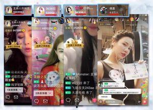 看中国明星网红的软件,看中国明星网红软件深度解析