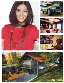 权贵富豪明星网红是谁,揭秘他们的传奇故事