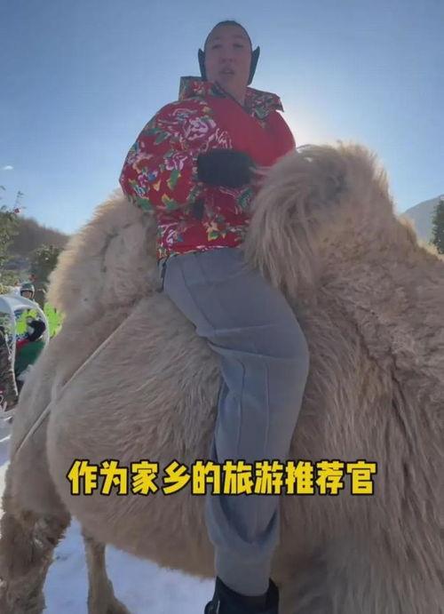 明星网红滑雪视频在线观看,明星网红带你领略冰雪魅力