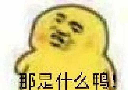 今日吃瓜表情包图片可爱,今日吃瓜表情包萌动来袭