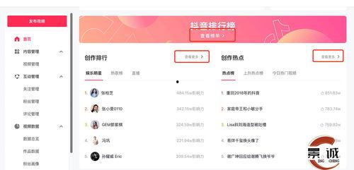 明星网红收入情况分析图,数据图表揭示行业收入分布