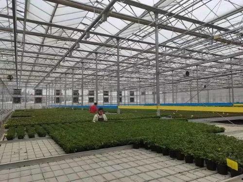 明星网红素养训练方法,专业训练方法全解析