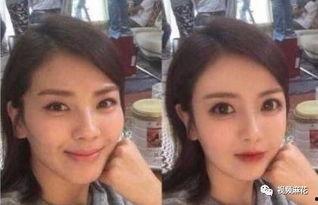 明星网红有什么意思,揭秘网络时代的魅力与争议