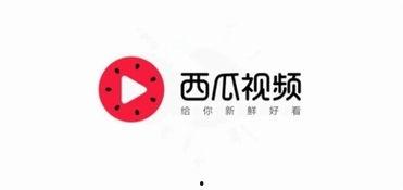 三瓜视频今日头条,揭秘热门话题背后的故事与观点
