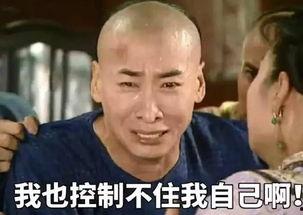 今日吃瓜沈樵,揭秘沈樵背后的故事