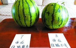 今日宜吃瓜第四集,揭秘娱乐圈背后的秘密与真相