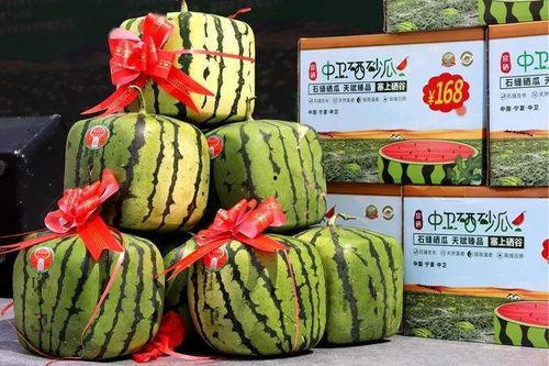 硒砂瓜今日价格丰县批发价格,今日行情一览”