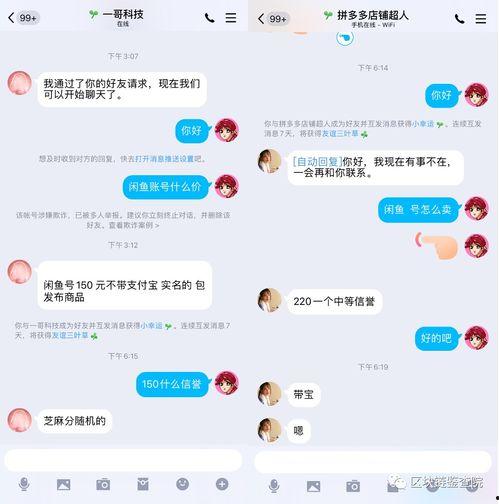 明星网红 闲鱼是谁,揭秘明星网红的二手交易平台生活
