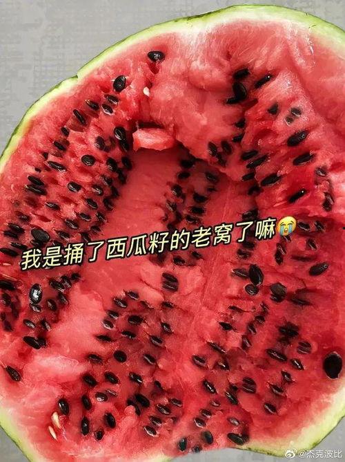 今日份有什么瓜,揭秘娱乐圈最新瓜料，精彩纷呈等你来探
