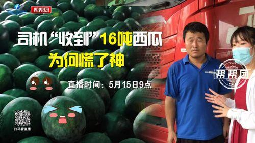 吃瓜爆料今日