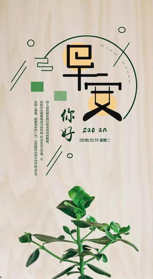 今日摘瓜文案句子图片大全,趣味盎然的句子与图片集锦
