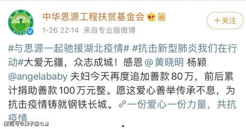 武汉疫情捐款的明星网红,武汉疫情捐款中的明星网红力量”