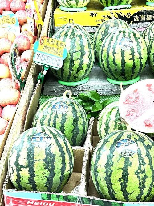 内蒙古麒麟瓜今日价格,品质之选，价格亲民