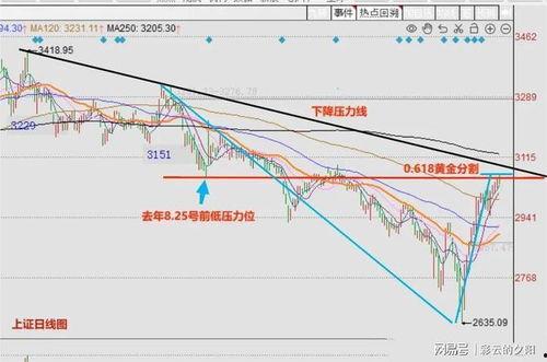 瓠瓜今日行情走势最新,今日走势解析与展望