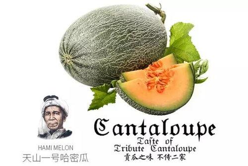 吾爱吃瓜今日,揭秘娱乐圈那些不为人知的幕后故事