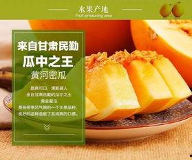 黄河蜜瓜今日价格行情,价格波动解析