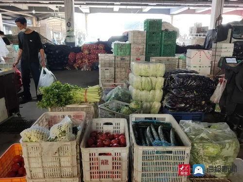 茭瓜批发价格今日,市场行情一览”
