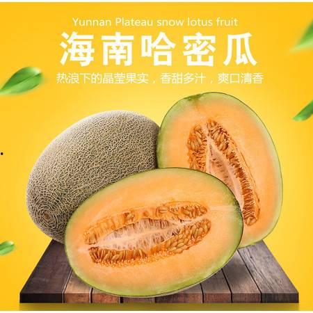 哈密瓜小蜜价格今日价,甜蜜来袭，品质生活新选择”