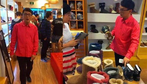 明星网红店在哪里进货,探寻其神秘进货渠道