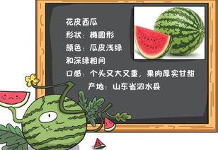 今日吃瓜历史记录图片,回顾历史瞬间，品味人间百态