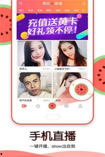 今日吃瓜视频直播,揭秘娱乐圈幕后故事