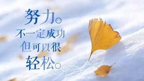 今日摘瓜文案句子简短励志,今日启航