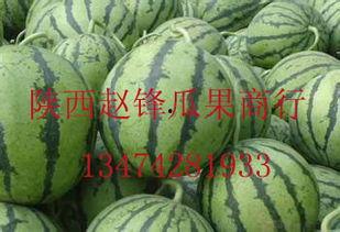 哈密瓜今日批发价格,“今日哈密瓜批发价格行情解析”