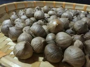 瓜二姐吃黑蒜,黑蒜的独特风味之旅