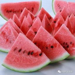今日吃什么瓜最好吃图片,揭秘最佳“吃瓜”选择