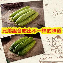 今日小瓜多少钱,市场行情一览