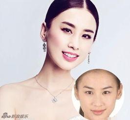 明星网红区别对比图片,光环下的差异解析