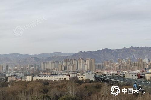 呼和浩特今日乳瓜价钱,市场行情一览”