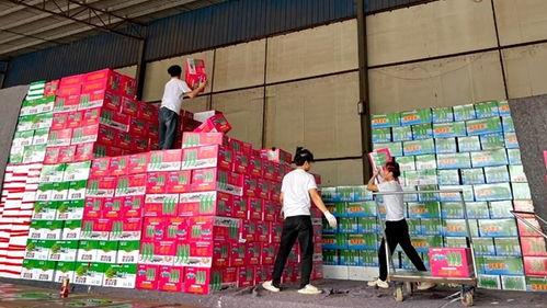 澄迈瓜菜今日收购价格表,新鲜采摘直击收购行情