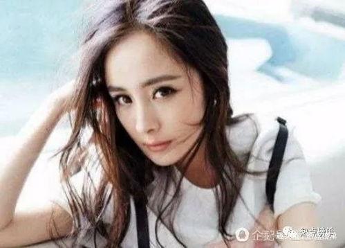 选美明星网红排名榜,璀璨星光照耀网络世界