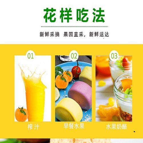 景东今日小瓜价格表最新,今日行情一览”