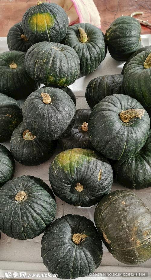 贝贝瓜产地今日价格,新鲜上市，价格行情一览”