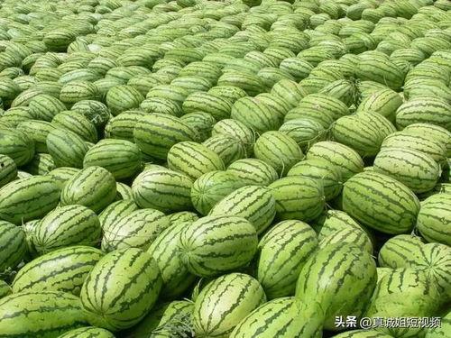 吃瓜网今日吃瓜热门大,揭秘娱乐圈最新八卦风云