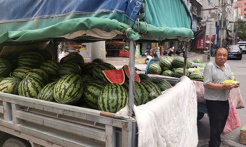 兰州今日瓜价,瓜果飘香，价格波动一览无余”