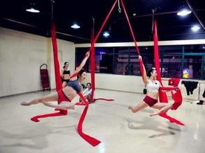 明星网红爵士舞视频,跟随明星舞步，感受音乐律动魅力