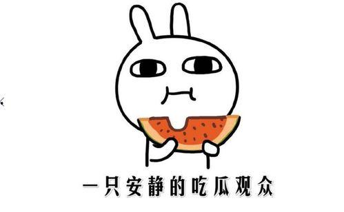 今日吃瓜最新吃瓜事件,XX事件引发热议，真相究竟如何？