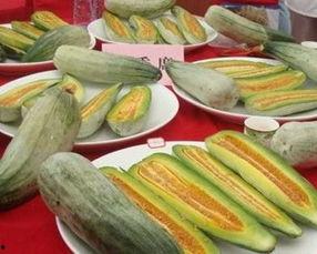 酥瓜今日价位,市场波动下的甜蜜诱惑