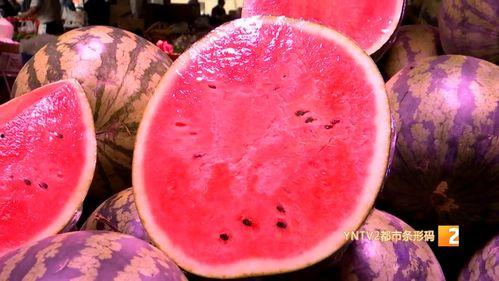 陕西麒麟瓜今日行情,丰收季里的价格波动与市场前景”