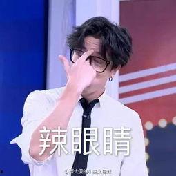 明星网红聚会照片真实吗