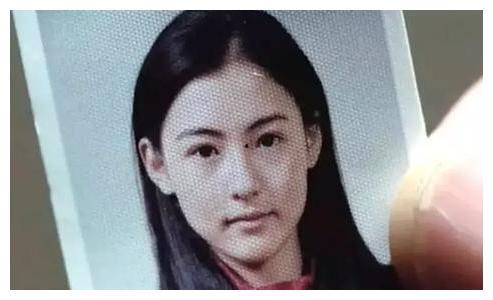 明星网红聚会照片真实吗