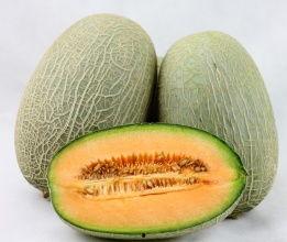 北京今日哈密瓜价格查询