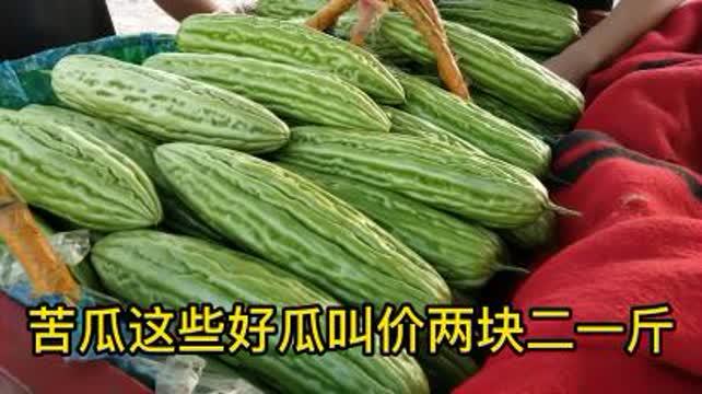 凉瓜今日价格最新行情,今日行情一览