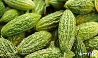 凉瓜今日价格最新行情,今日行情一览