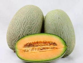 高官寨今日哈密瓜多少钱,行情如何？”